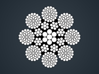 CFRC 8×55WS+IWR CFRC 8×55WS+IWR